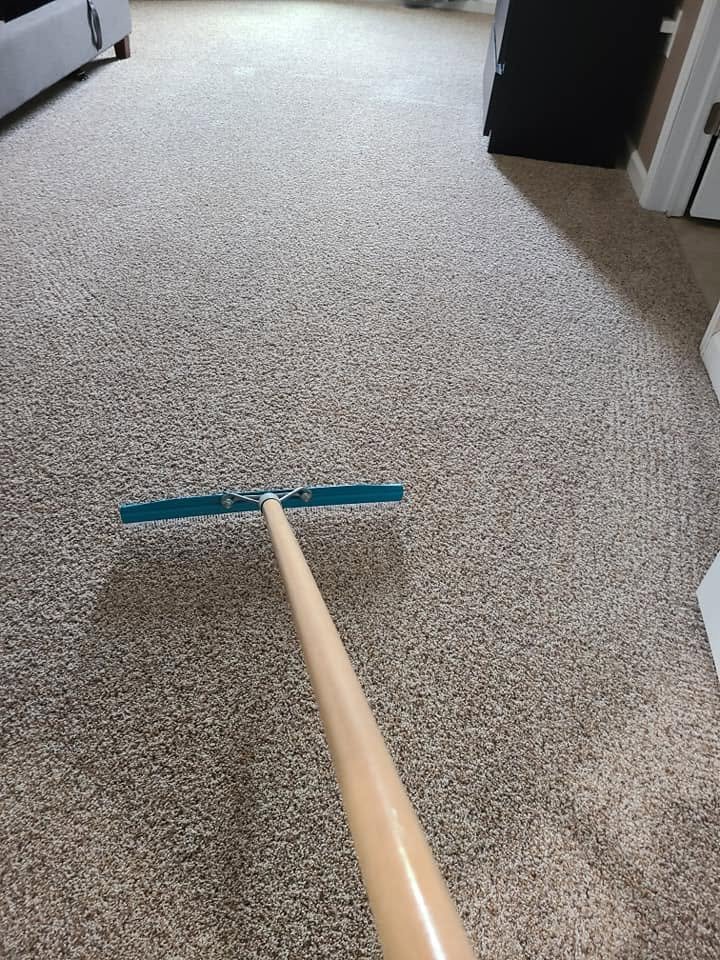 Carpet grooming after cleaning