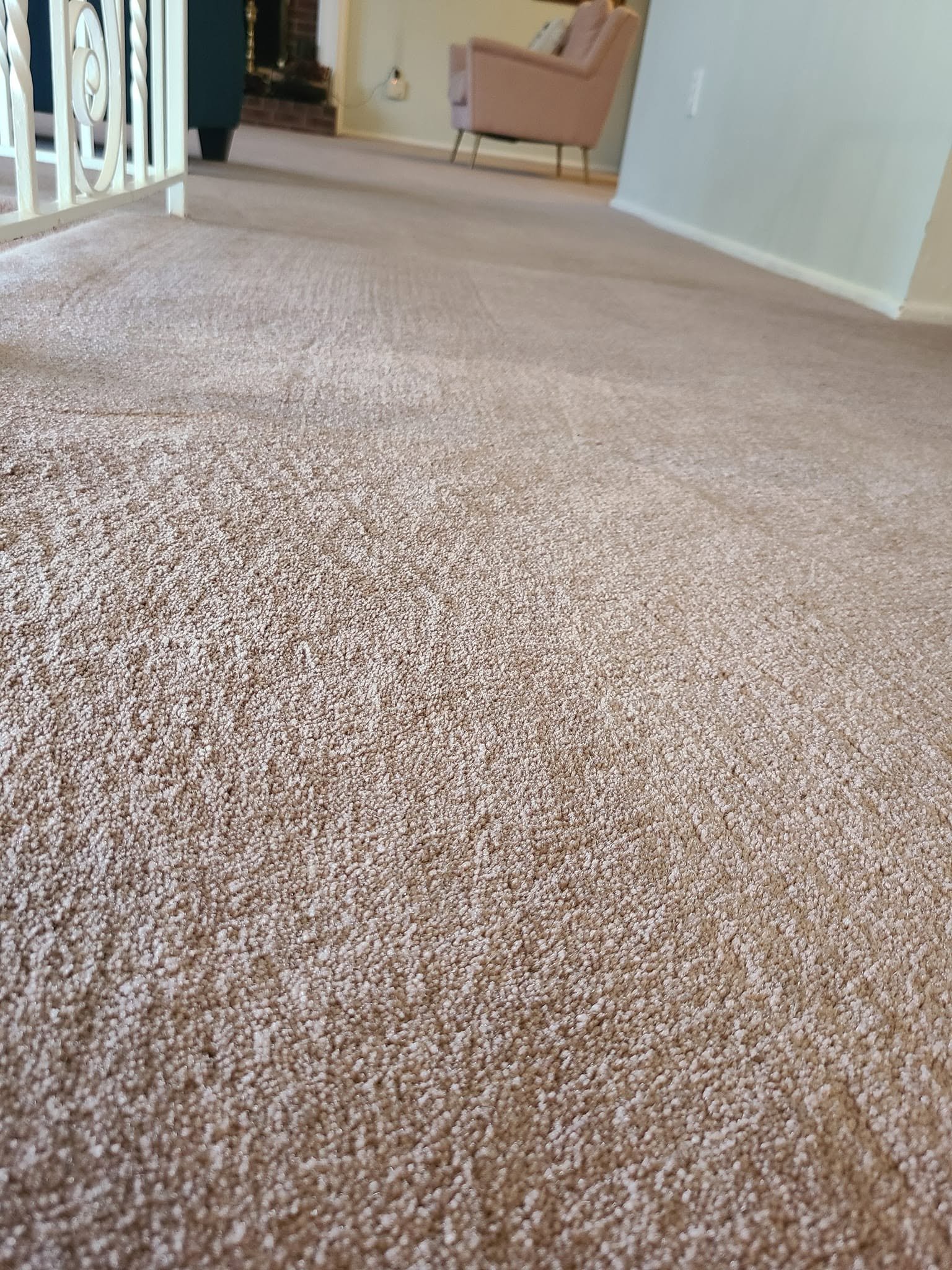 Freshly cleaned carpeted room