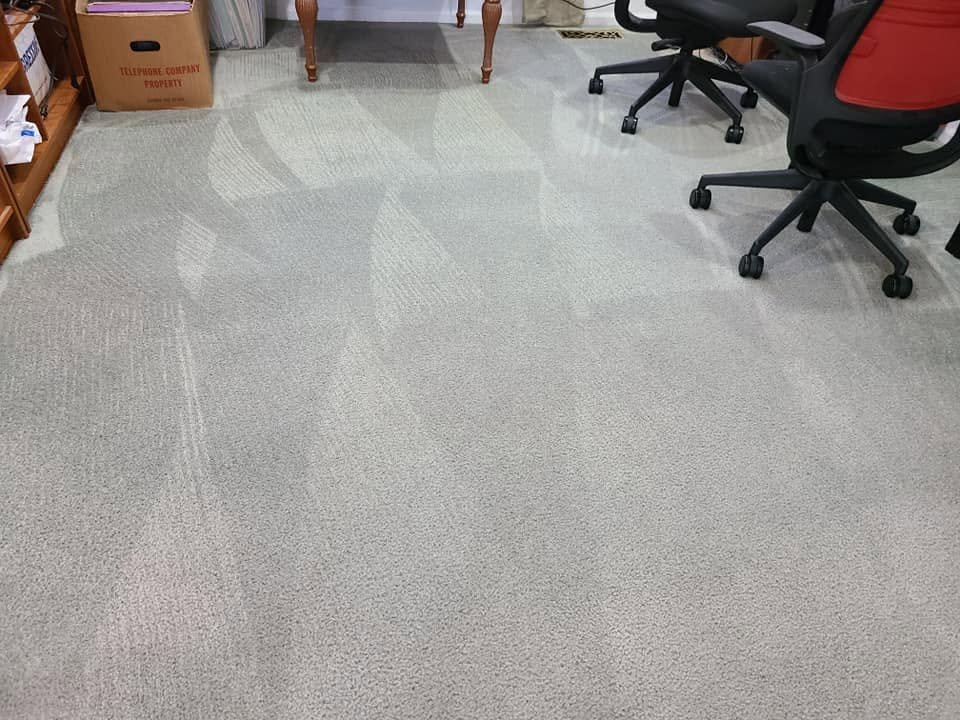 Freshly cleaned office carpet after service